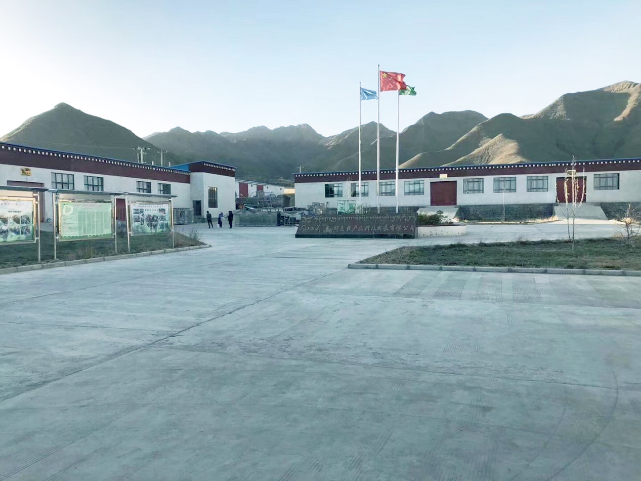 河南凈水設備廠家